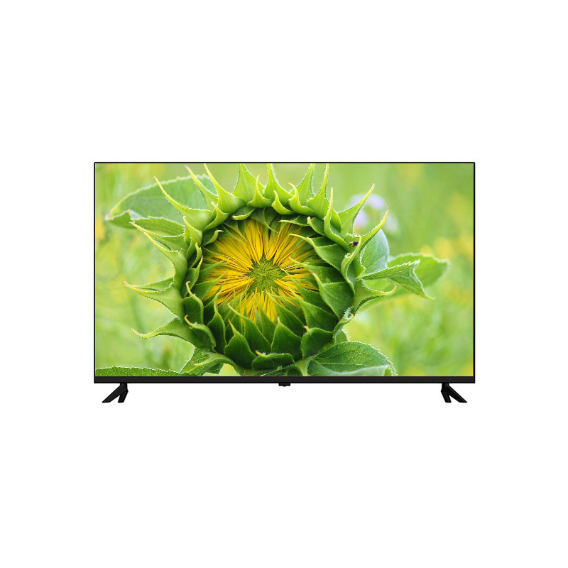 Home Cinema Experience - Téléviseur LCD LED 65 pouces 4K,
